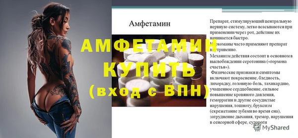 ПСИЛОЦИБИНОВЫЕ ГРИБЫ Гусев