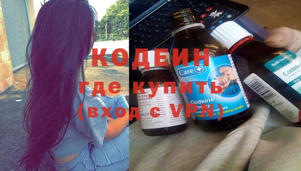 ПСИЛОЦИБИНОВЫЕ ГРИБЫ Гусев