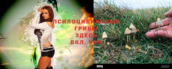 ешки Горнозаводск