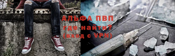 ПСИЛОЦИБИНОВЫЕ ГРИБЫ Гусев