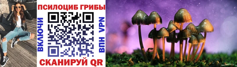 Купить закладки  Костомукша  Галлюциногенные грибы Cubensis 